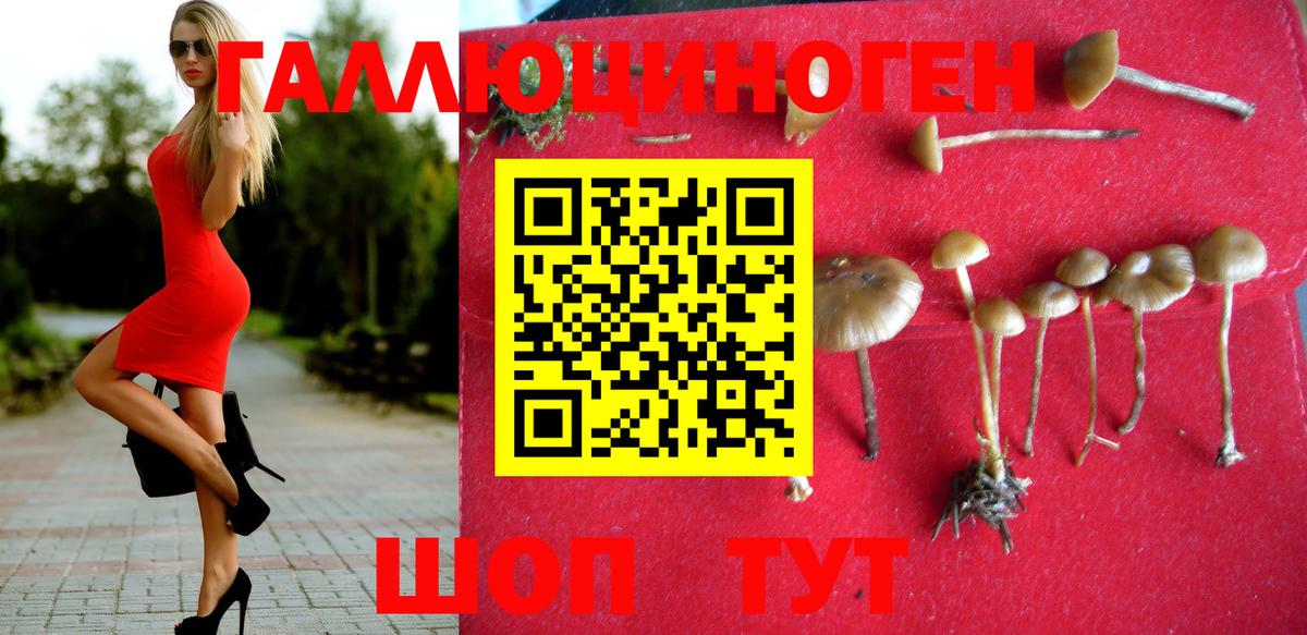 Верхний Уфалей  Галлюциногенные грибы Psilocybe  Псилоцибиновые грибы Magic Shrooms  Вход с VPN 